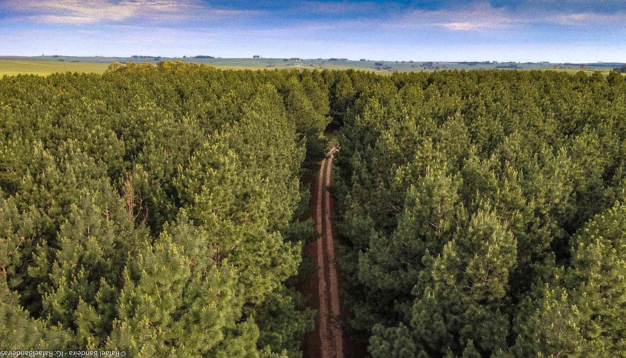 Pinos De La Quebrada Βίλα Quebrada de los Cuervos Εξωτερικό φωτογραφία