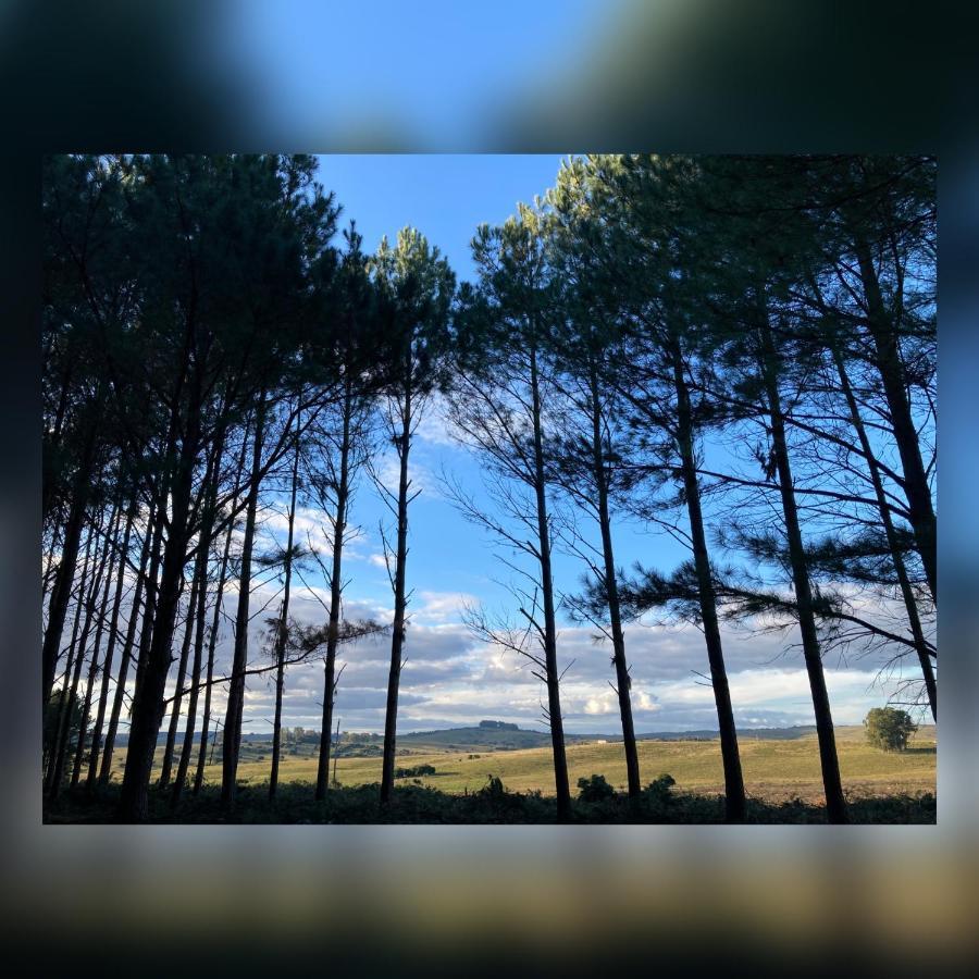 Pinos De La Quebrada Βίλα Quebrada de los Cuervos Εξωτερικό φωτογραφία