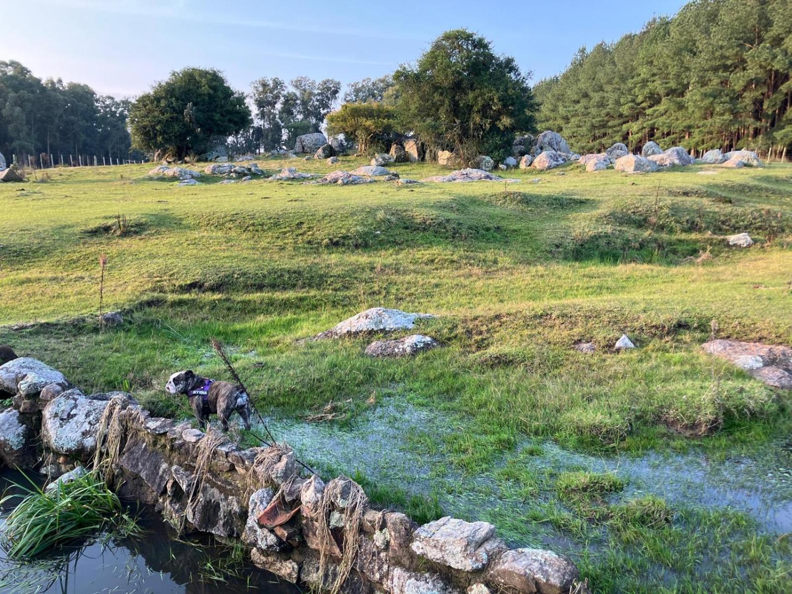 Pinos De La Quebrada Βίλα Quebrada de los Cuervos Εξωτερικό φωτογραφία