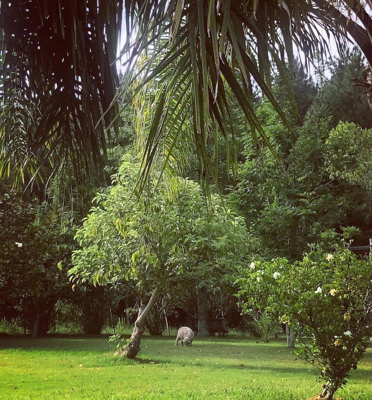 Pinos De La Quebrada Βίλα Quebrada de los Cuervos Εξωτερικό φωτογραφία