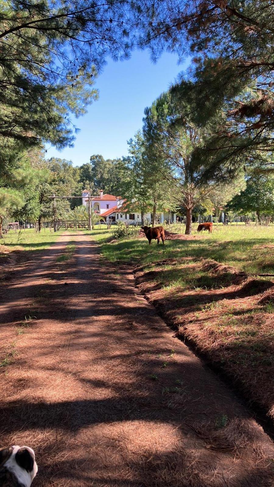 Pinos De La Quebrada Βίλα Quebrada de los Cuervos Εξωτερικό φωτογραφία