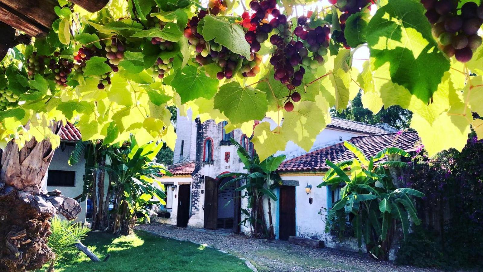 Pinos De La Quebrada Βίλα Quebrada de los Cuervos Εξωτερικό φωτογραφία