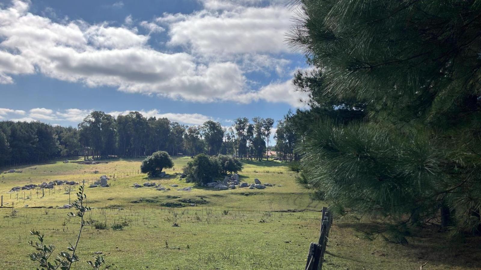Pinos De La Quebrada Βίλα Quebrada de los Cuervos Εξωτερικό φωτογραφία