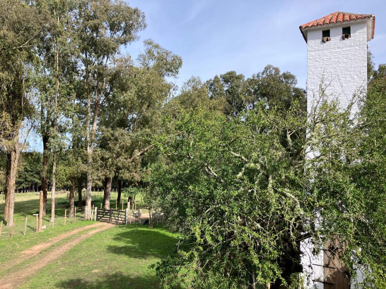 Pinos De La Quebrada Βίλα Quebrada de los Cuervos Εξωτερικό φωτογραφία
