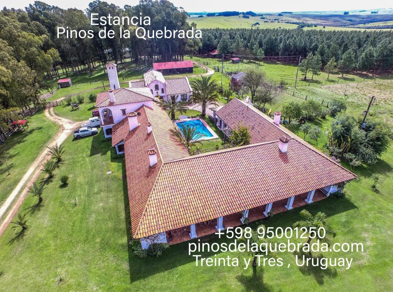 Pinos De La Quebrada Βίλα Quebrada de los Cuervos Εξωτερικό φωτογραφία